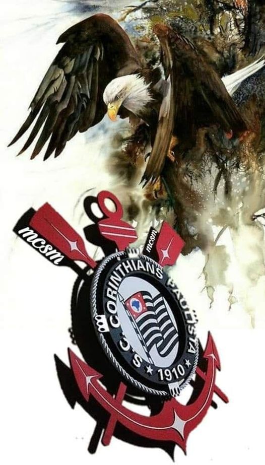 FRANGO ASSADO  BANDEIRA